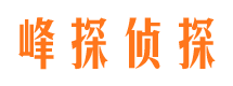 海晏市婚外情调查